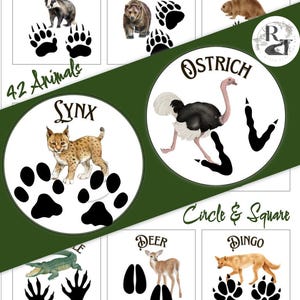 May include: A set of 42 animal footprint cards with illustrations of the animals and their footprints. The cards are divided into two sections: Circle & Square. The cards feature animals such as badger, bear, beaver, ostrich, lynx, deer, and dingo.