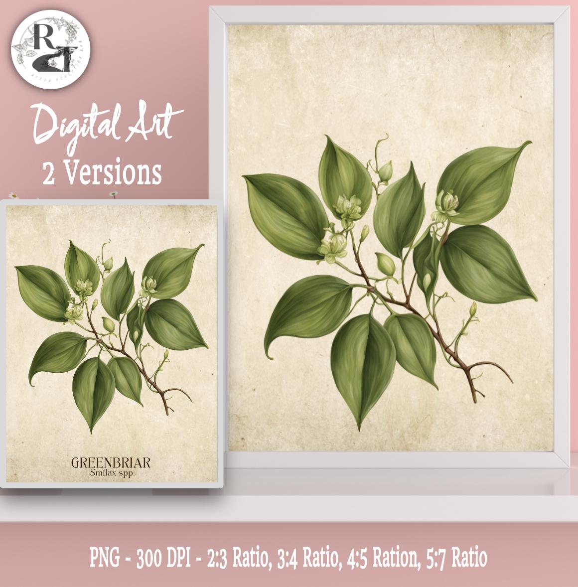 Vintage Style Wildflower Greenbriar, Smilax spp., Print, Digital Vintage Botanical Art, Wildflower. Farmhouse, Flower Illustration, Foraging
