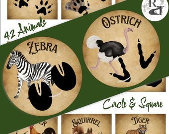 42 Animal Track Identification Task Cards - Squares and Circles Download Print 3 sizes Outdoor,  Home, Nature, education, Montessori