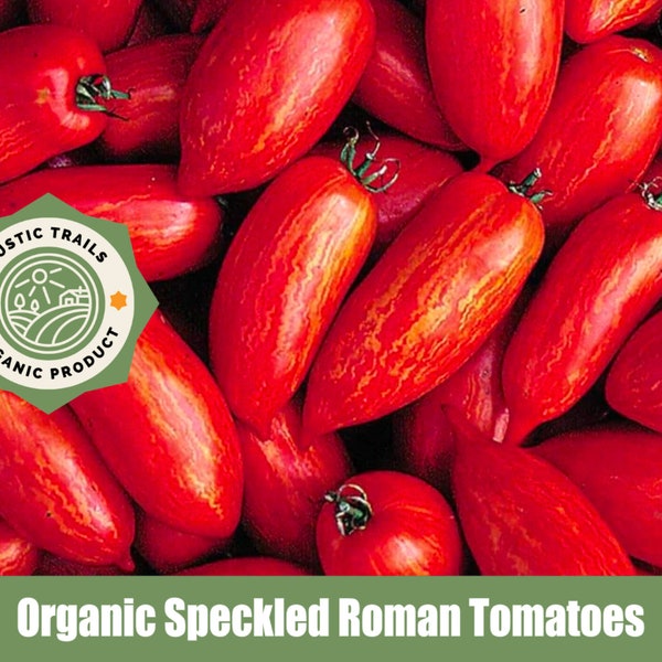 Speckled Roman Organic Tomato Heirloom Seeds - non GMO -