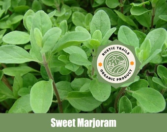 Sweet Marjoram, (Origanum Majorana) - Organic - Heirloom non GMO Seeds