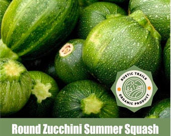 Organic Round Zucchini Summer Squash, Heirloom Seeds non GMO