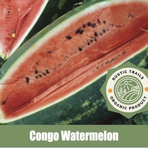 Congo Watermelon - Heirloom Non GMO Seeds - Fresh USA Grown Seeds