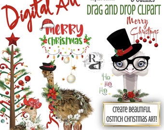 Create DIY Christmas Ostrich Google Slide ActivityDrag & Drop Design Shabby Chic Crafts, School, Holiday, Digital or Print a Card - Art