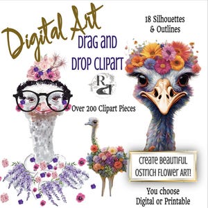 Maak prachtige DIY struisvogel digitale kunst met bloemen 250+ clipartstukken Shabby Chic 8,5 x 11 in 500 dpi png Ambachten, school, plakboek, afdrukken