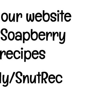 Organic Soap Nut Berries - Natural Cleanser - De-seeded - Hand Sorted and Selected - Natural Laundry Detergent & Shampoo - Soapnut, Organic, Soap Nut, Best, Best, back to nature