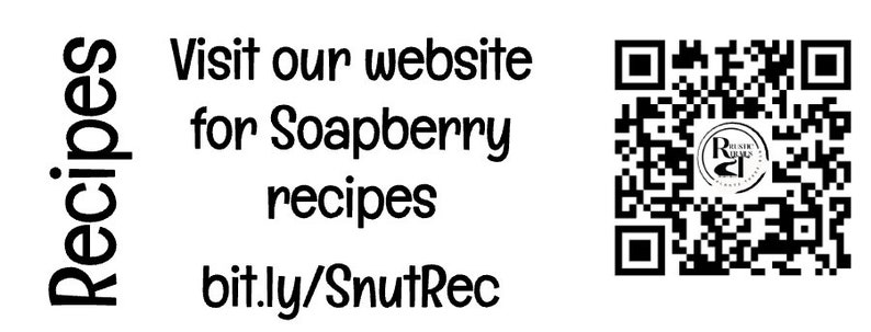 Organic Soap Nut Berries - Natural Cleanser - De-seeded - Hand Sorted and Selected - Natural Laundry Detergent & Shampoo - Soapnut, Organic, Soap Nut, Best, Best, back to nature