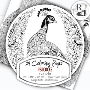 29 Peacock Zentangle Coloring Pages 8x11in 500 DPI PNG, Unlimited Physical Use, Scrapbook Crafts, Cards, Adult Coloring, Art, Journal