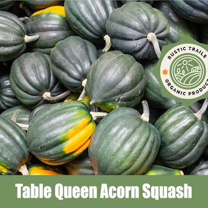 May include: A close-up of a pile of green and yellow Table Queen Acorn Squash. The squash are organic and have a rustic trails label.