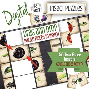 May include: A digital Google Slides activity for kids to learn about insects. The activity features 56 two-piece puzzles with colorful illustrations of different insects. The image shows a close-up of a millipede puzzle piece and instructions to drag and drop the pieces to match.