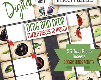 56 Drag and Drop 2 Part Digital Insect Matching Puzzles - Nature, Home School, Outdoor, Education, Montessori, Science, preschool