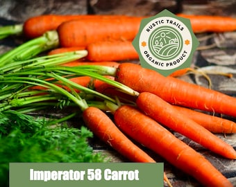 Organic Imperator 58 Carrot Heirloom Seeds Daucus carota non GMO