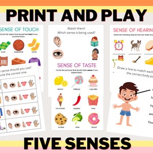 Toddler Five Senses Activities - PRINT AND PLAY - Learning - Busy Book - Printable Worksheet - Preschool - Homeschool - Activity Sheets