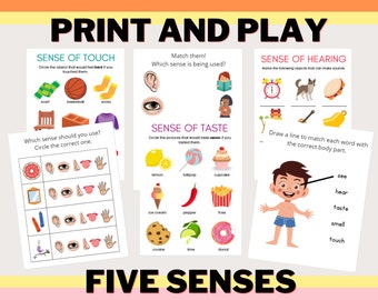 Toddler Five Senses Activities - PRINT AND PLAY - Learning - Busy Book - Printable Worksheet - Preschool - Homeschool - Activity Sheets