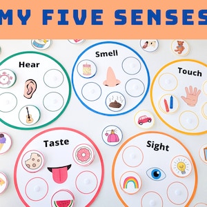 Toddler Five Senses Activities - Sorting - Learning - Matching - Busy Book - Printable Worksheet - Preschool - Homeschool - Activity Sheets