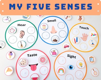 senses activities etsy