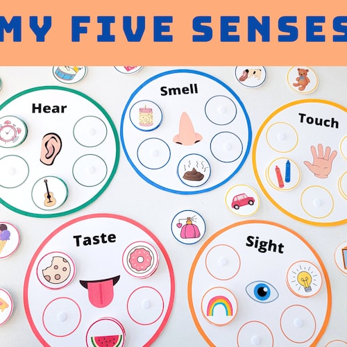 toddler five senses activities sorting learning matching etsy ireland