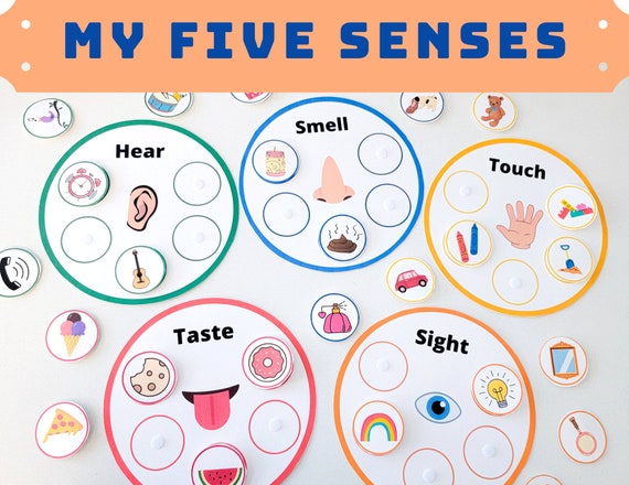 toddler five senses activities sorting learning matching etsy india