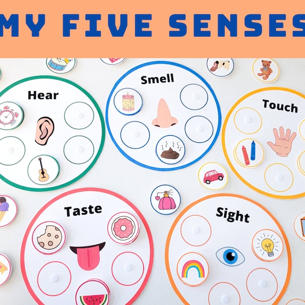 Toddler Five Senses Activities - Sorting - Learning - Matching - Busy Book - Printable Worksheet - Preschool - Homeschool - Activity Sheets