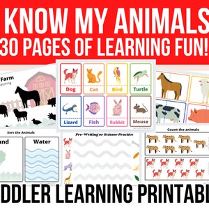 Toddler Animal Activities - Toddler Busy Book - Toddler Printable Binder - Printable Worksheet - Preschool - Homeschool - Activity Sheets