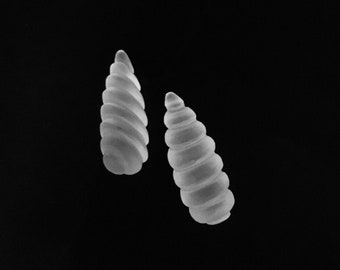 Puede incluir: Dos conchas blancas en forma de espiral sobre un fondo negro.