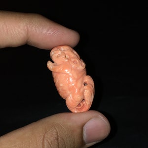 Natural CORAL/Hand carved/Width 18MM/Length 35MM/Height 15MM/Weight 59.80 carats/Beautiful deep orange color/Bird carving/Fancy carving