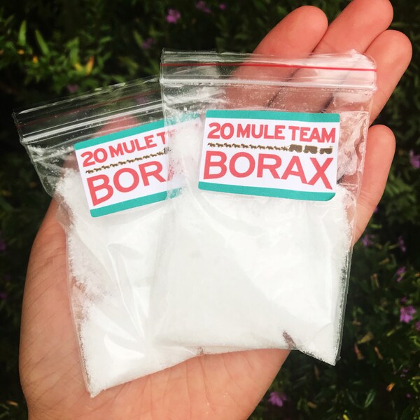 2x 4tsp of borax baggies (perfect for slime)