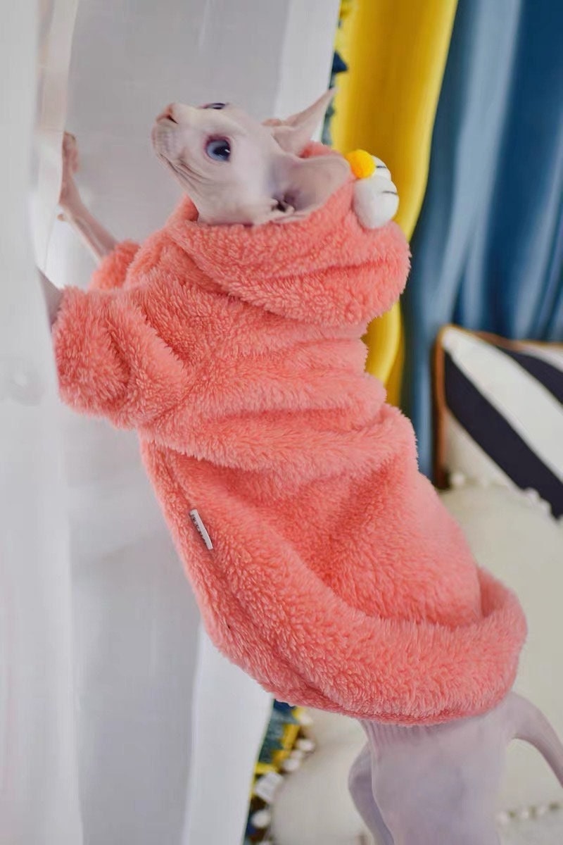 Sphynx Cat Clothes for Hairless Cat Sphynx Cat Summer Shirt Etsy