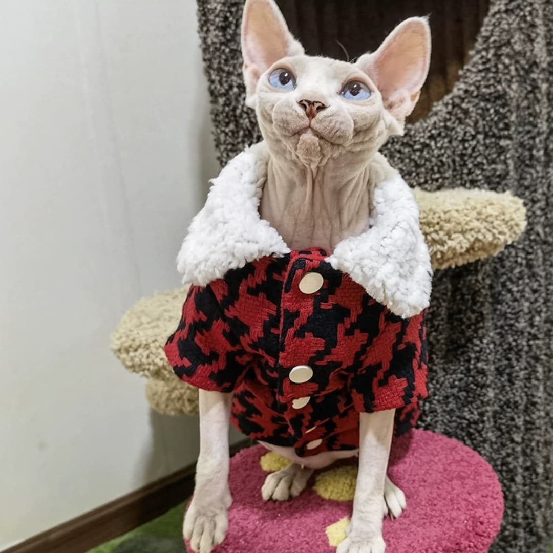 Sphynx Cat Winter Clothes for Hairless Cat Sphynx Cat Summer Etsy