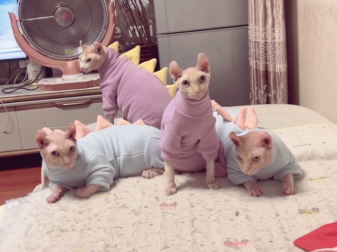 Sphynx Cat Costume Clothes for Hairless Cat, Sphynx Cat Shirt, Sphynx Cat Top, Sphynx Pet