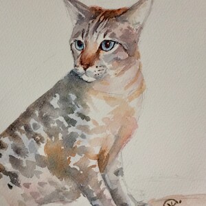 Custom Cat Portrait.
