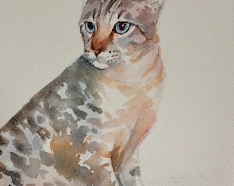 Custom Cat Portrait.