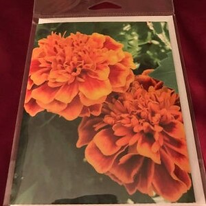 Blank Greeting Card 4: Marigolds image 2