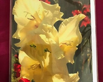 Blank Greeting Card 7: Yellow Gladiola Flower for You