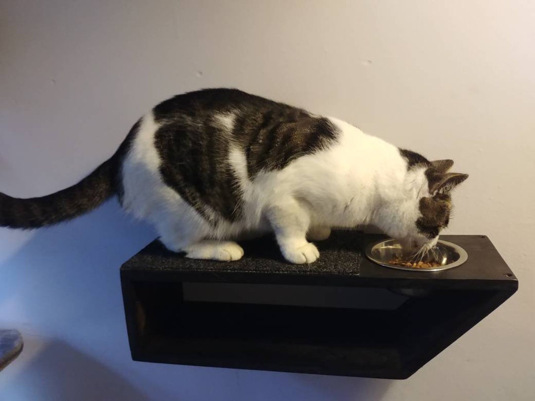 Wall Mounted Cat Feeding Shelf With FREE UK Shipping Etsy