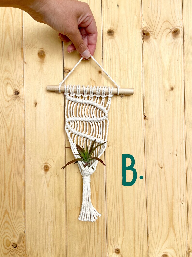 AIR PLANT Macramé Mini Wall Hanger Houseplant Hanging Planter Boho Modern Decor image 3