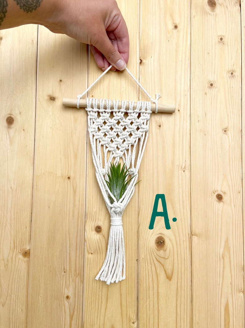 AIR PLANT Macramé Mini Wall Hanger Houseplant Hanging Planter Boho Modern Decor image 2