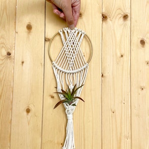 May include: A white macrame plant hanger with a gold metal ring and a small green air plant hanging from it. The hanger is hanging on a light wood wall.