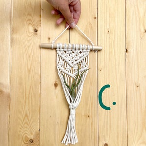 AIR PLANT Macramé Mini Wall Hanger Houseplant Hanging Planter Boho Modern Decor image 4