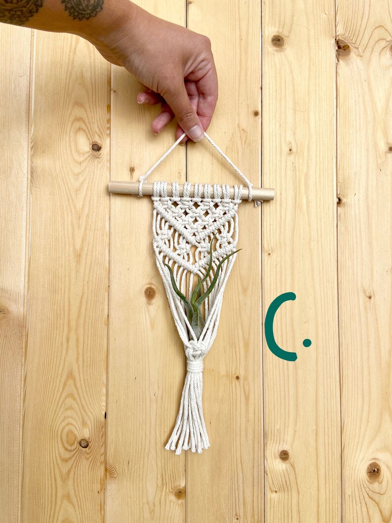 AIR PLANT Macramé Mini Wall Hanger Houseplant Hanging Planter Boho Modern Decor image 4