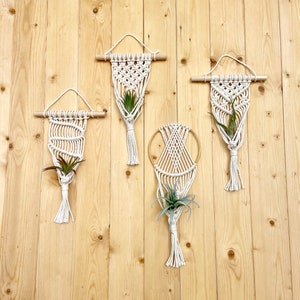 AIR PLANT Macramé Mini Wall Hanger Houseplant Hanging Planter Boho Modern Decor image 5