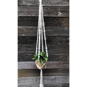 May include: A white macrame plant hanger with a small potted plant hanging from it. The hanger is made of cotton cord and has a tassel at the bottom.
