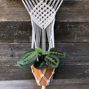 DIAMANT Plante de macramé de cintre mural faite à la main Planteur de plantes dintérieur Boho Scandi Milieu du siècle image 2