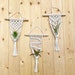 see more listings in the air plant hangers section