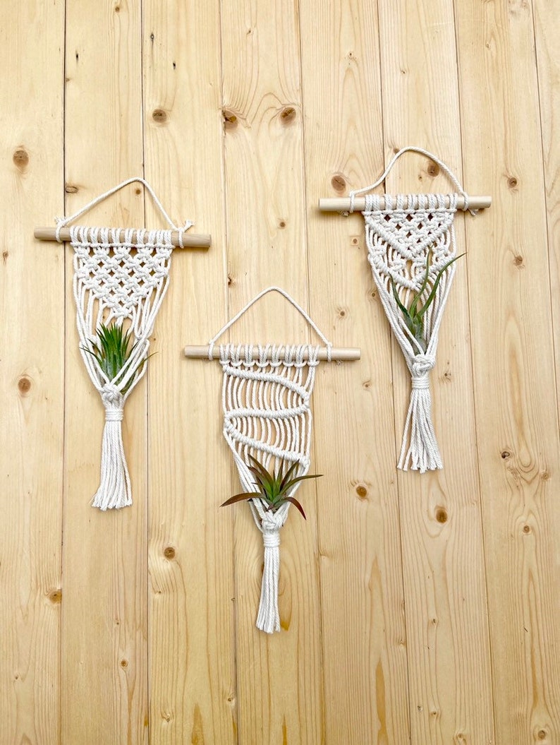 AIR PLANT Macramé Mini Wall Hanger Houseplant Hanging Planter Boho Modern Decor image 1