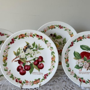 Set von vier Royal Worcester Orchard Fruit - Sammelbare Anzeigesteller - 19 cm