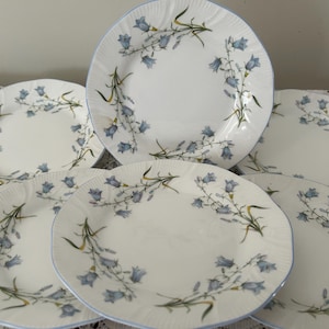 May include: A collection of six white ceramic plates, each adorned with a blue floral pattern and a scalloped edge. The plates have a light blue border and a design of blue bellflowers and green stems.
