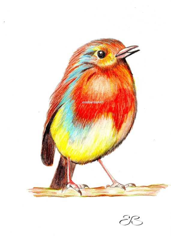 Oiseau Petit Oiseau Oiseau Fat Dessin Au Crayon De Couleur Peinture Tenture Murale Mignon Petit Oiseau