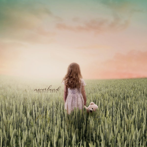 Wheat Field Background / Photography Background / Digital Background for Photographers / Magical Background /  Digital Download