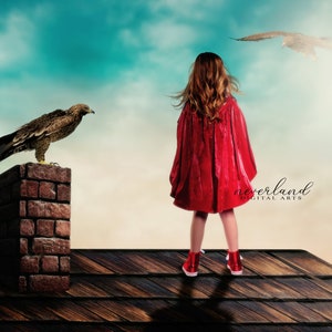 May include: A child in a red cape and red shoes stands on a rooftop, facing away from the viewer. An eagle perches on a brick chimney, and another flies in the sky. The image has a fantasy theme with the text "neverland DIGITAL ARTS".